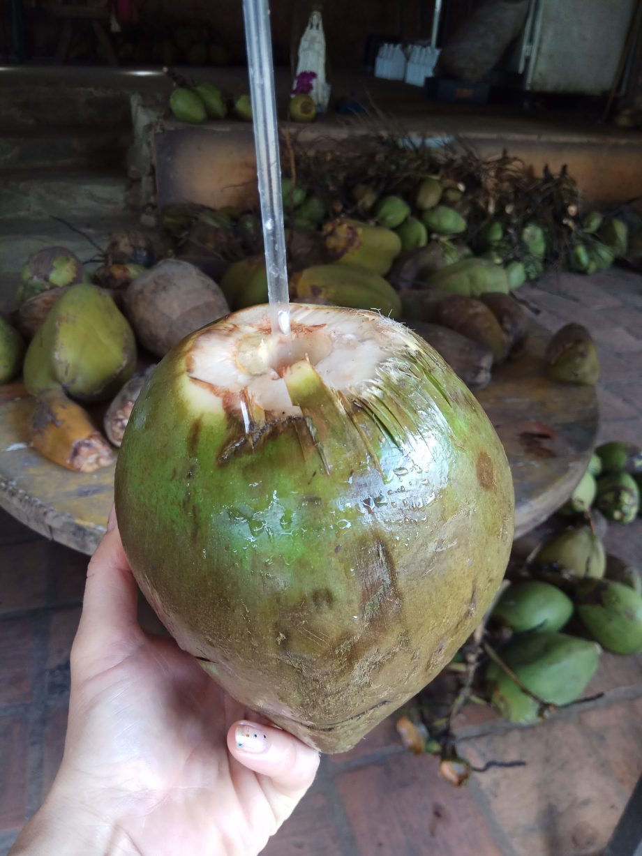 За 1$ можно выпить 10 кокосов. Или 5 коко-локко, состоящих из  взбитых в миксере мякоти и сока кокосов, льда и рома 